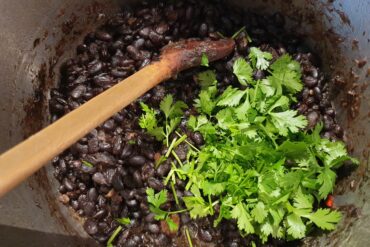 Vanillepudding / Schokoladenpudding